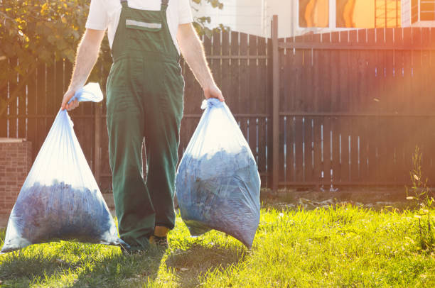 Best Basement Cleanout Services  in Ypsilanti, MI